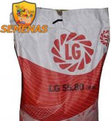 Насіння Соняшнику Лимагрейн LG5580 / ЛГ5580