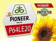 Насіння Соняшнику Піонер П64ЛЕ20 / Pioneer P64LE20