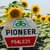 Насіння Соняшнику Піонер П64ЛЕ25 / Pioneer P64LE25.
