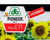 Семена подсолнуха Пионер ПР64Е71 / Pioneer PR64E71