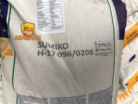 Насіння соняшнику Сингента Суміко HTS / Sumiko HTS