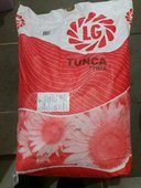 Семена подсолнуха Лимагрейн Тунка / Limagrain Tunca