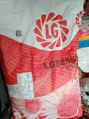 Семена подсолнуха Лимагрейн ЛГ59580 / LG59580
